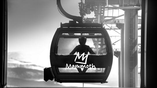 VIDEO | RJ Anderson Tears up the Mammoth Motocross Track in his RZR Turbo R (Off Road)